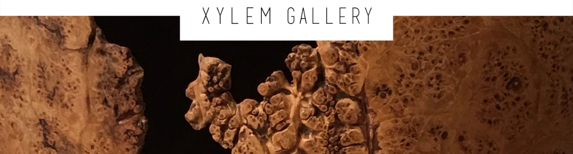 Xylem Gallery - Featured Artist, Christian Burchard