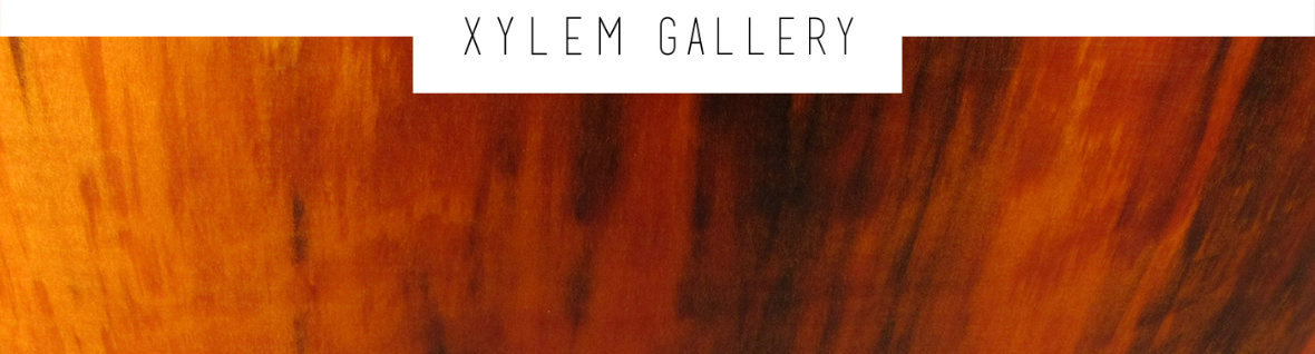 Xylem Gallery - Featured Artist, Ron Kent