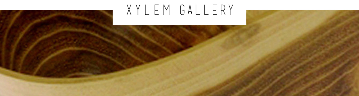 Xylem Gallery - Featured Artist, Bert Marsh
